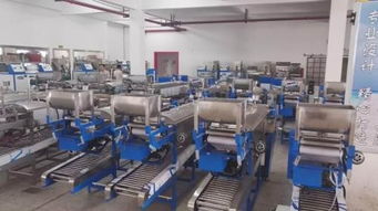 面條機與食品加工機械 胖掌柜食品機械廠的創(chuàng)新與價值